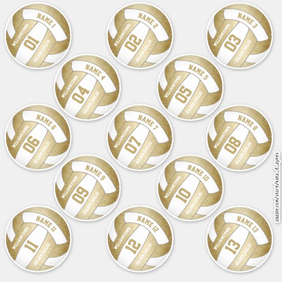  set of 13 girly golden volleyball players names sticker
