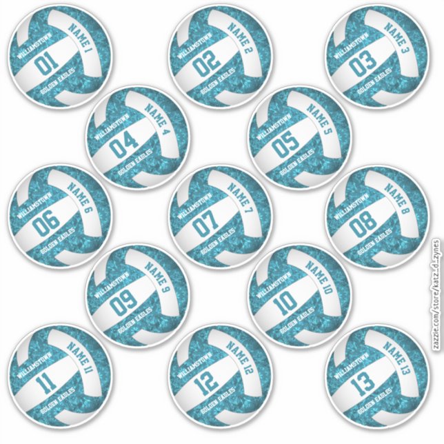 set of 13 girly teal white volleyball player names sticker (Front)
