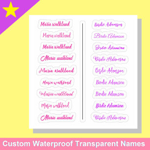 (Set of 18) Girly Transparent Simple Name Stickers