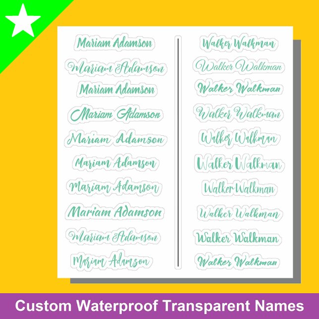 (Set of 20) Mint Transparent Simple Name Stickers (Mint green name stickers
)