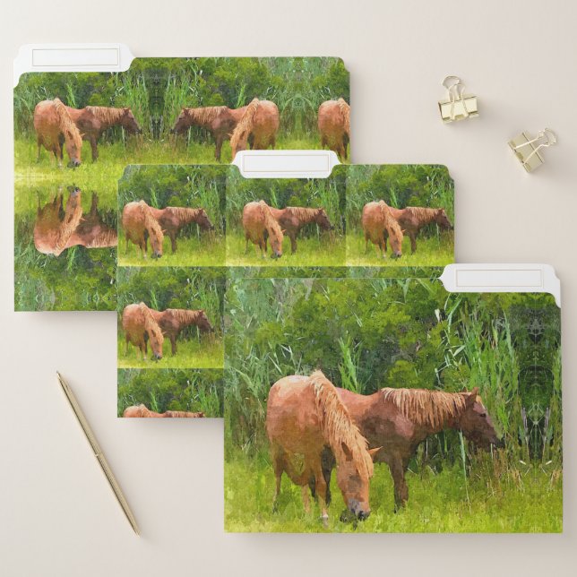 Set of 3 File Folders Assateague Ponies (Set)