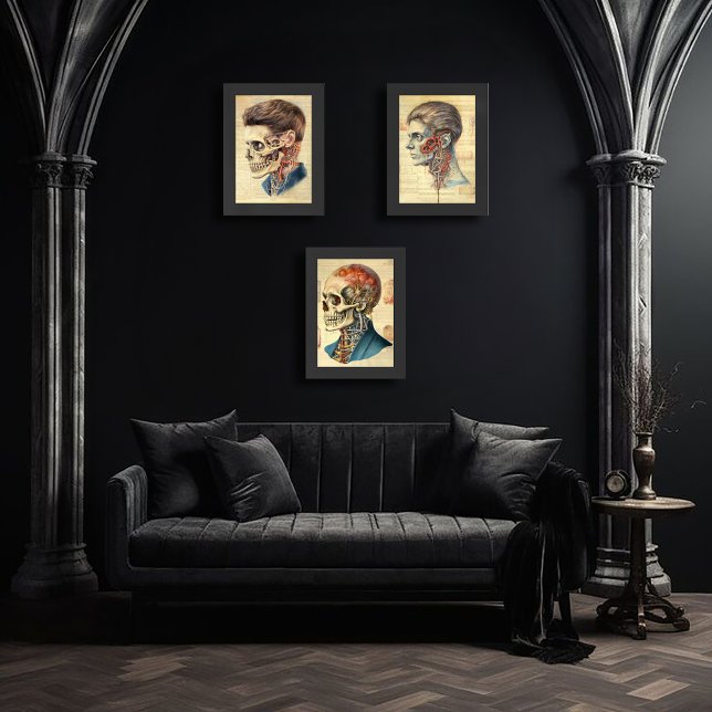 Set of 3 Vintage Anatomy Prints (Creator Uploaded)