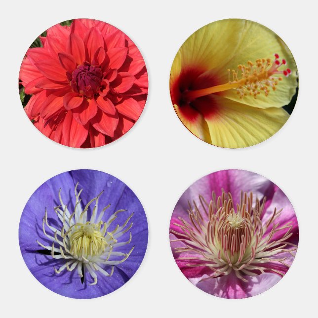 Set of 4 Floral Coaster Set (Set)