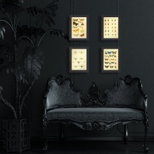 Set of 4 Insect Anatomy Wall Art Prints