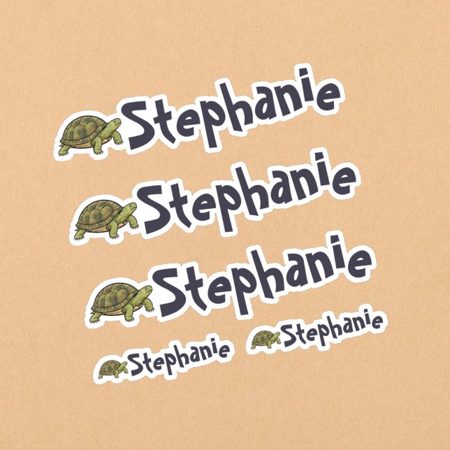 Set of 5 Cute Turtle Name Stickers (Set of five turtle name stickers.)