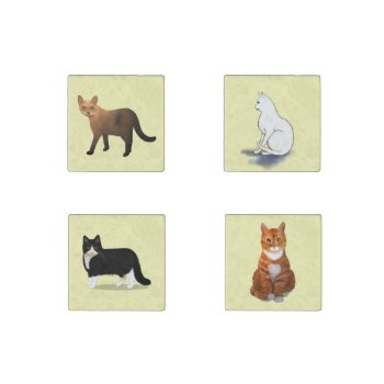 Set Of Cats For The Refrigerator Stone Magnet by AutumnRoseMDS at Zazzle