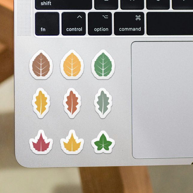 Set of Fall Leaves Stickers (Set of Fall Leaves Stickers)