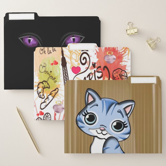 Set of File Folders Cat (Set)