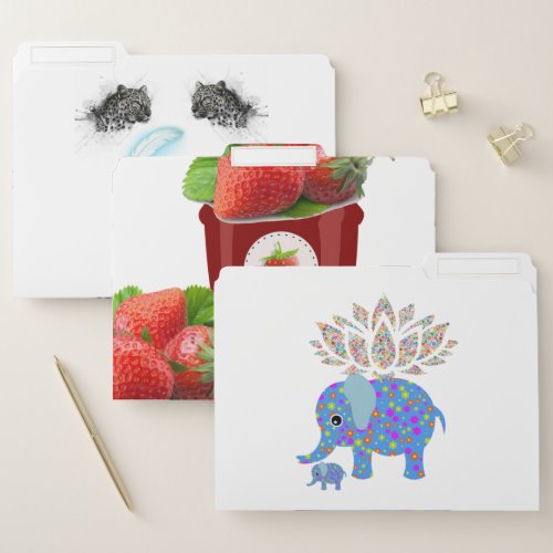 Set of File Folders Leopard Strawberry Elephants