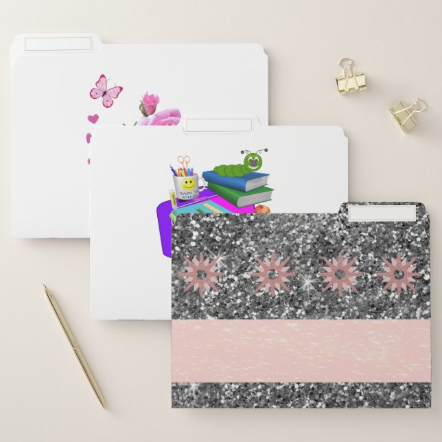 Set of File Folders Pink Rose Floral Back School (Set)
