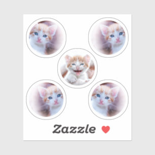 Set of Five Circle Shape Photos Sticker