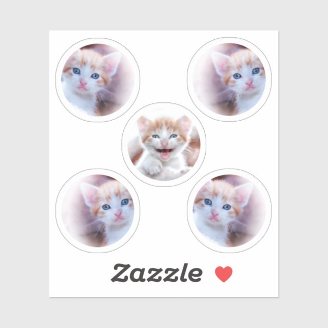Set of Five Circle Shape Photos Sticker (Sheet)