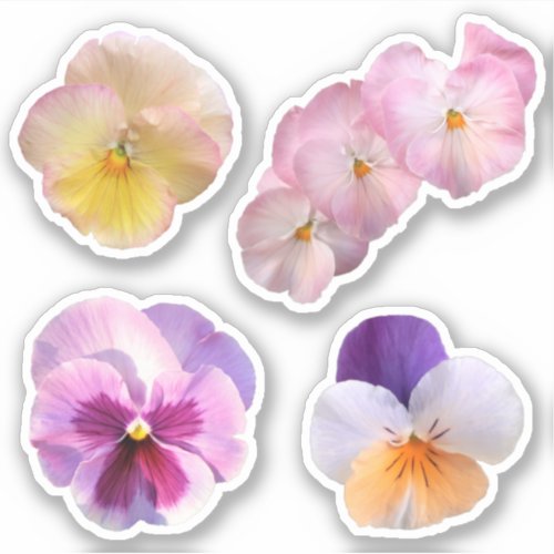 Set of Four Different Pansies Sticker