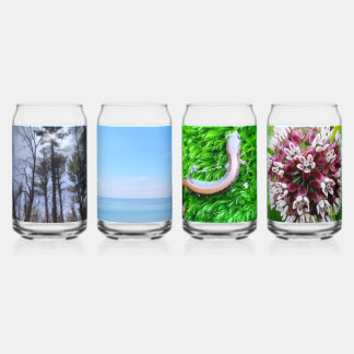 Set of four Michigan nature Drinking Glasses