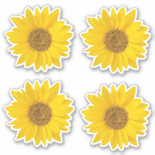Set of Four Yellow Sunflowers Contour Sticker