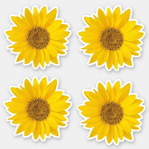 Set of Four Yellow Sunflowers Contour Sticker