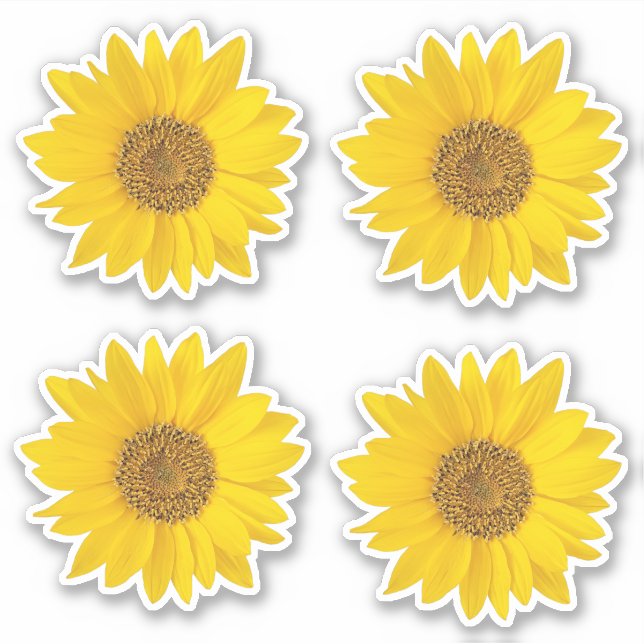 Set of Four Yellow Sunflowers Contour Sticker (Front)