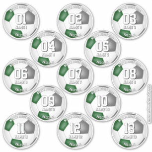 set of green gray team colors 13 soccer players sticker