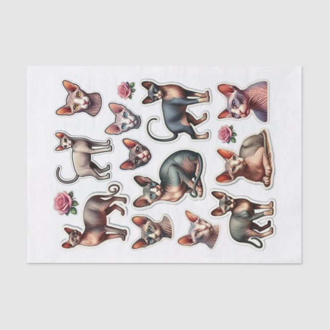 Set of Hairless Sphynx Cats Tissue Paper (Front)