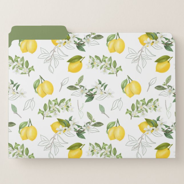 Set of Lemon and Floral File Folders (Front Left)