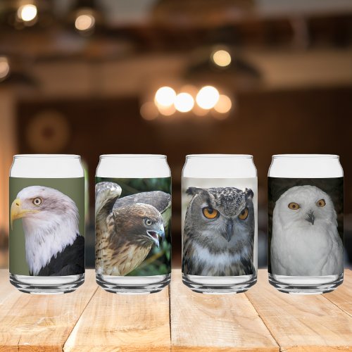 Set of Owl Eagle Hawk Raptor Photos Can Glass