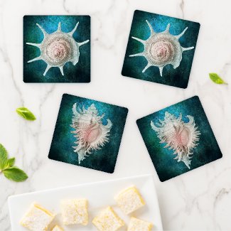 Set of Sea Shells