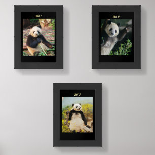 Set of three Cute Panda images with Own Text Décor