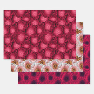 Set, poppies, floral pattern, flowers, pink, red wrapping paper sheets