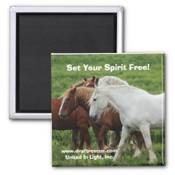 Set Your Spirit Free! Magnet by 1drafthorse at Zazzle
