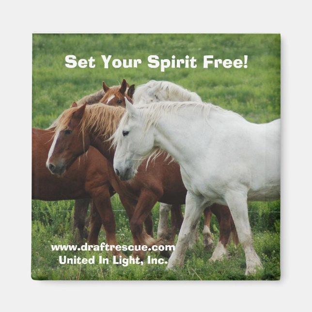 Set Your Spirit Free! Magnet (Front)