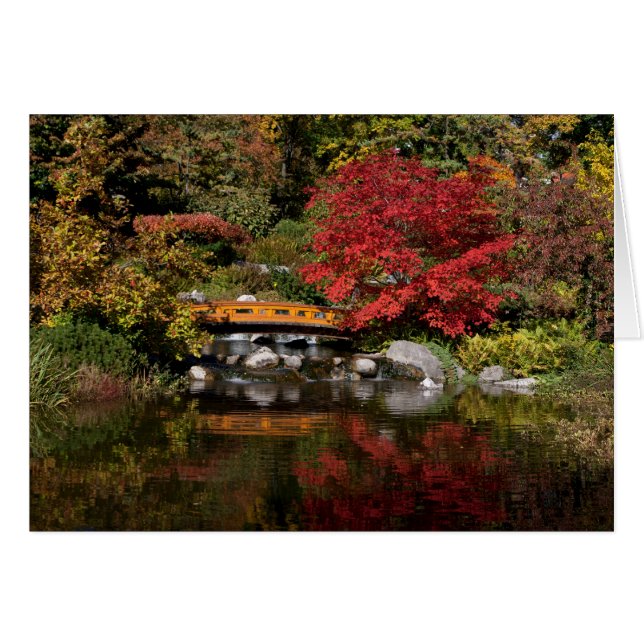 Setagaya Park Cards (Front Horizontal)