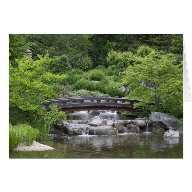 Setagaya Park Cards (Front Horizontal)