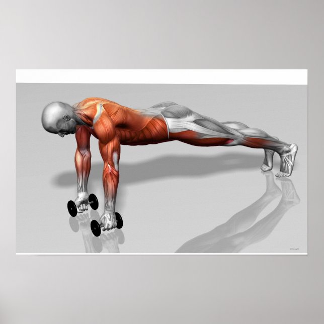 Setanta Push Up 4 Poster (Front)