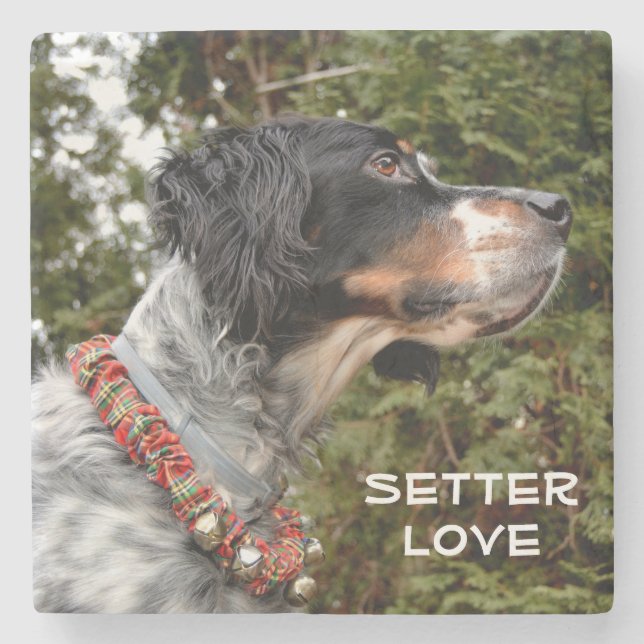 Setter Love Stone Coaster (Front)