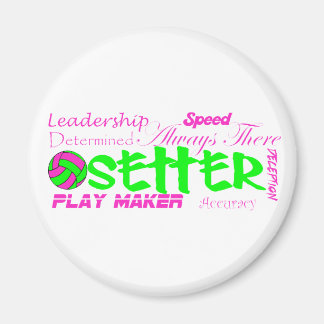 Setter Traits Magnet