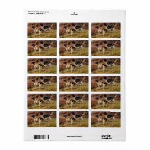 Setters by Edmund Henry Osthaus Label