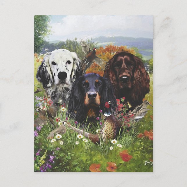 Setters Family  Postcard (Front)