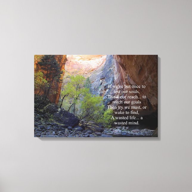 Setting Goals Inspirational Canvas Print (Front)