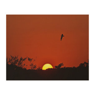 Setting Sun Wood Wall Art