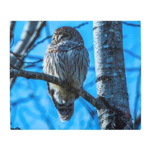 Settled In 24 x 20 Metal Wall Art