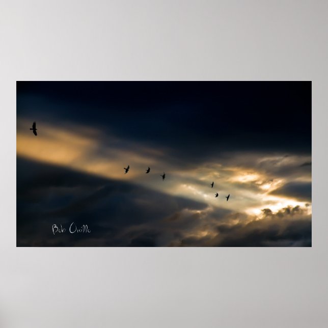 Seven Bird Vision, Bob Orsillo Poster (Front)