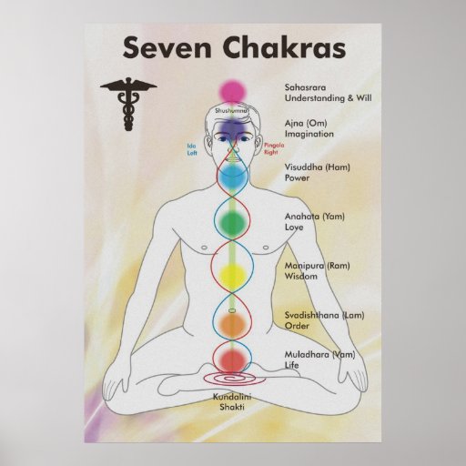 Seven Chakras Chart Diagram Poster | Zazzle