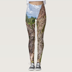 Seven Falls Colorado Leggings