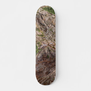 Seven Falls Colorado Skateboard