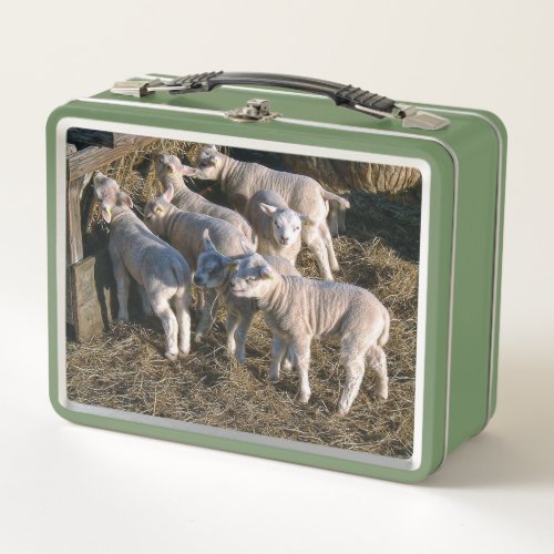 Seven Hungry Lambs Metal Lunch Box