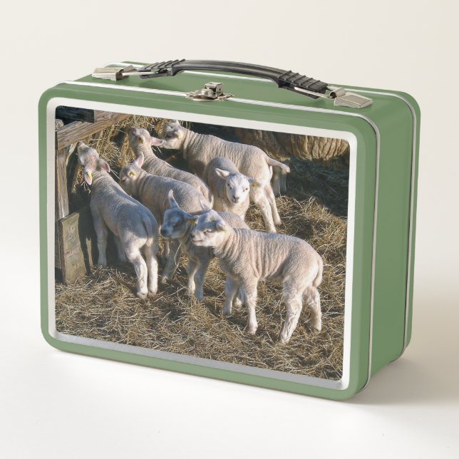 Seven Hungry Lambs Metal Lunch Box (Front)