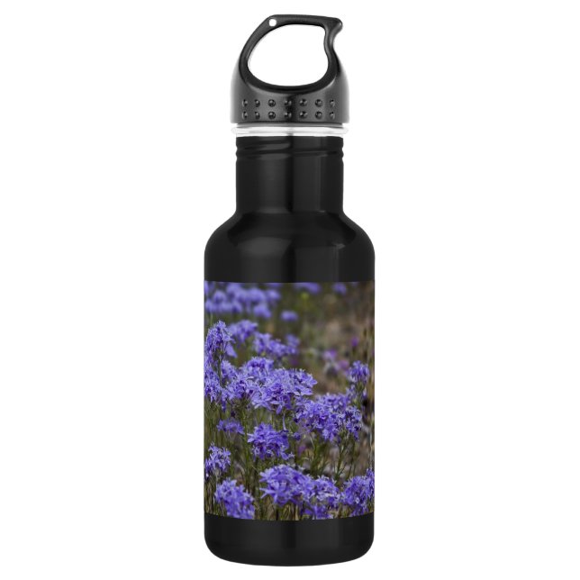 Seven Oaks Stainless Steel Water Bottle (Front)