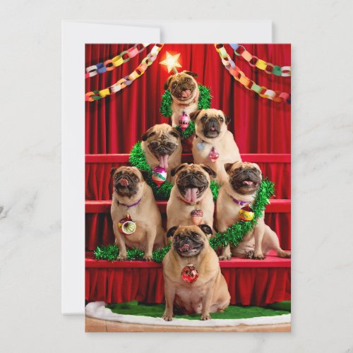 Seven Pugs_a_Posing Invitation