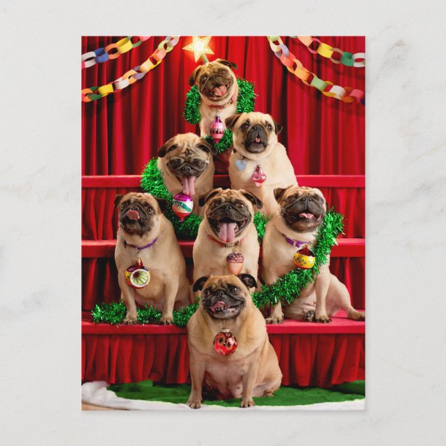 Seven Pugs-a-Posing Invitation Postcard (Front)