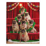 Seven Pugs-a-Posing Jigsaw Puzzle